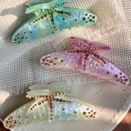 Starfish Hair Claw - Green